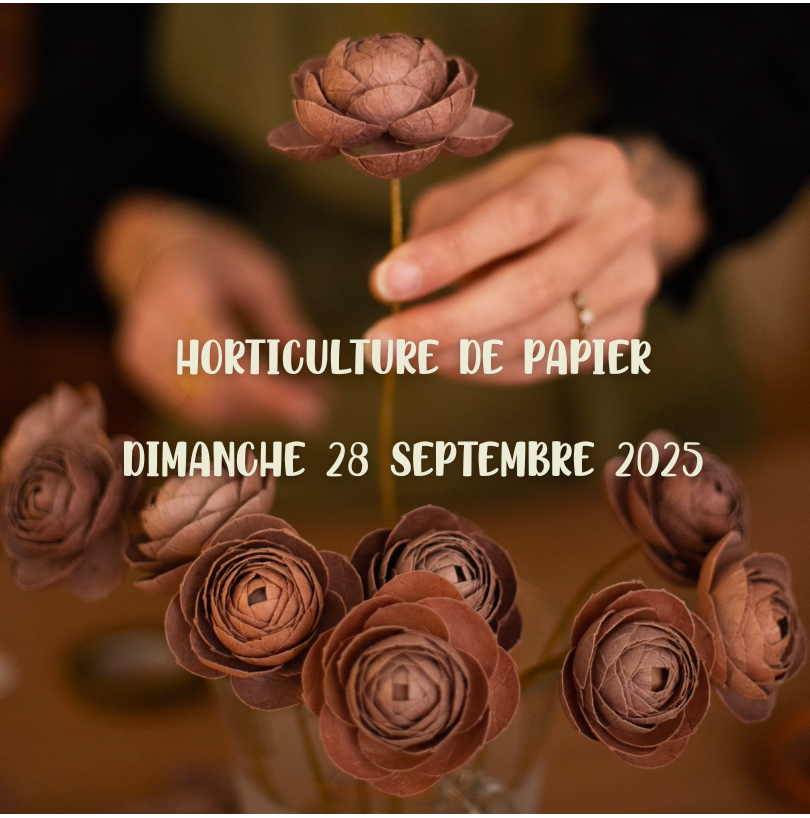 HORTICULTURE DE PAPIER