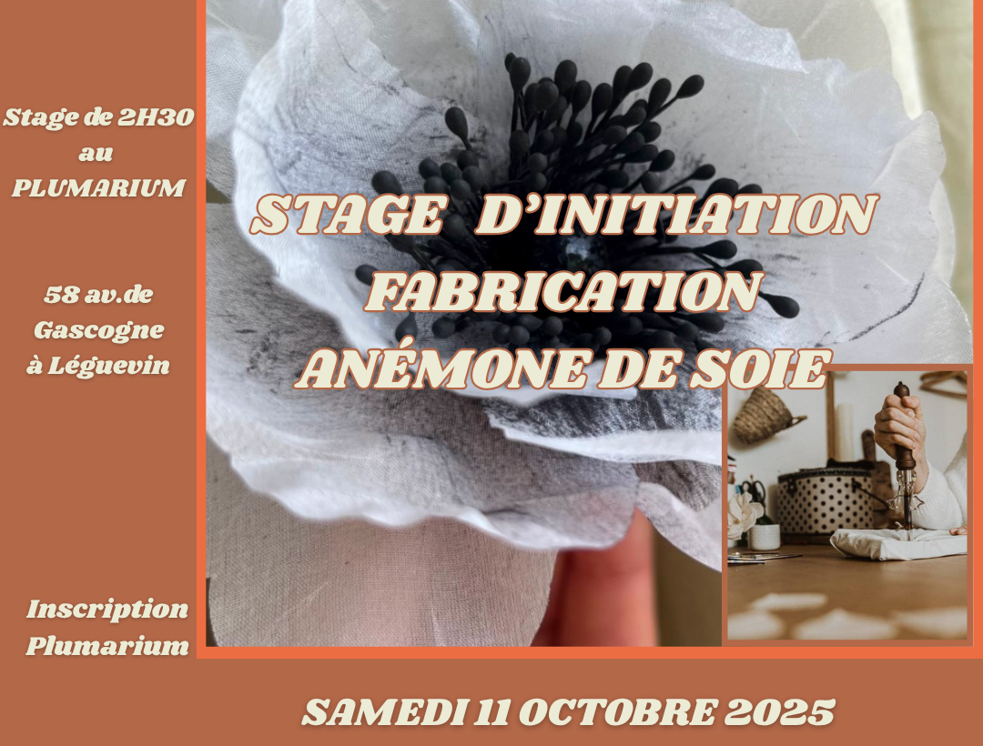 STAGE D’INITIATION FABRICATION ANÉMONE DE SOIE