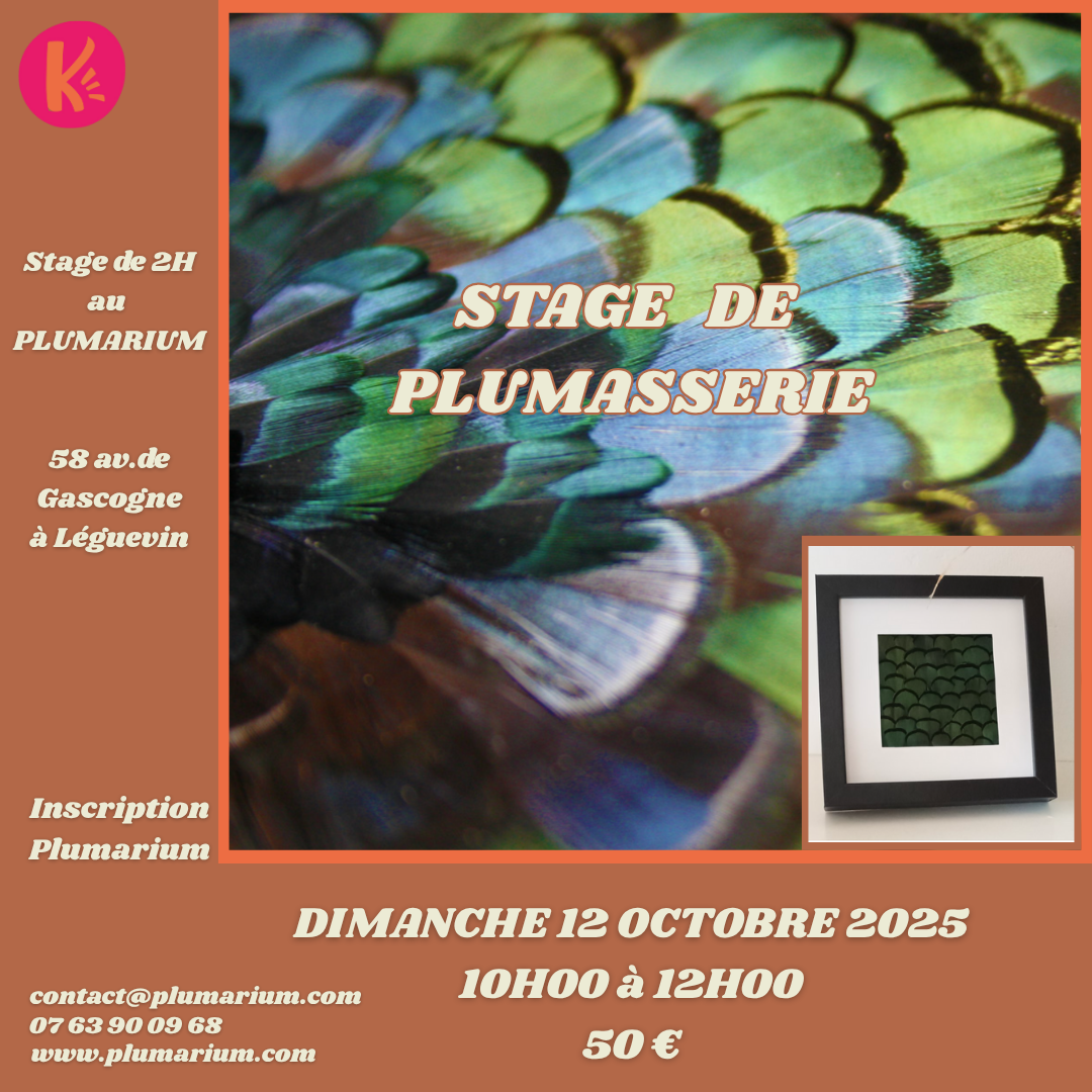 STAGE DE PLUMASSERIE STAGE DE PLUMASSERIE LE 12 OCTOBRE AU PLUMARIUM A LEGUEVIN DE 10H00 A 12H00 PRIX 50 EUROS