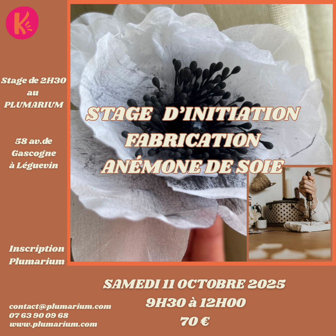 stage initiation fabrication anémone de soie stage initiation fabrication anémone de soie le samedi 11 octobre 2025 de 9h30 a 12H00 pour 70 euros